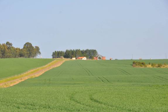 Paisagem rural no interior do Paraná, região de Tibagi